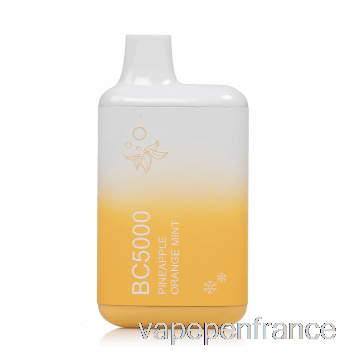 Stylo Vape Jetable Ananas Orange Menthe Bc5000